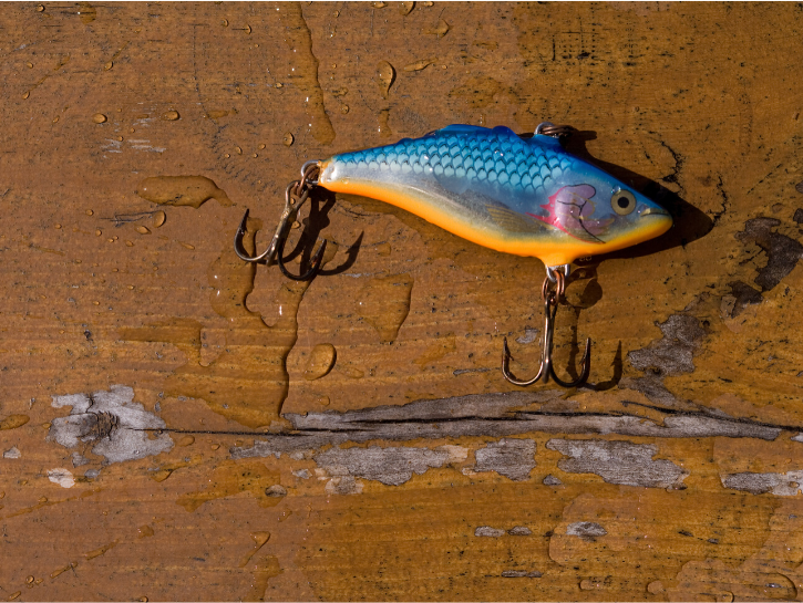 peche au leurre du bord de mer